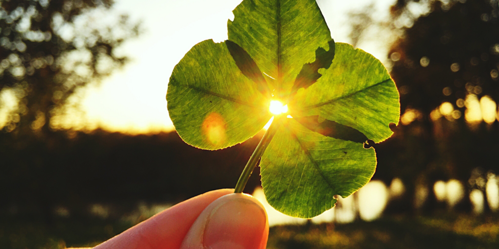 Sonne leuchtet durch vierblättriges Kleeblatt im Gegenlicht von Daumen und Zeigefinger gehalten draussen vor Landschaftshintergrund fotografiert